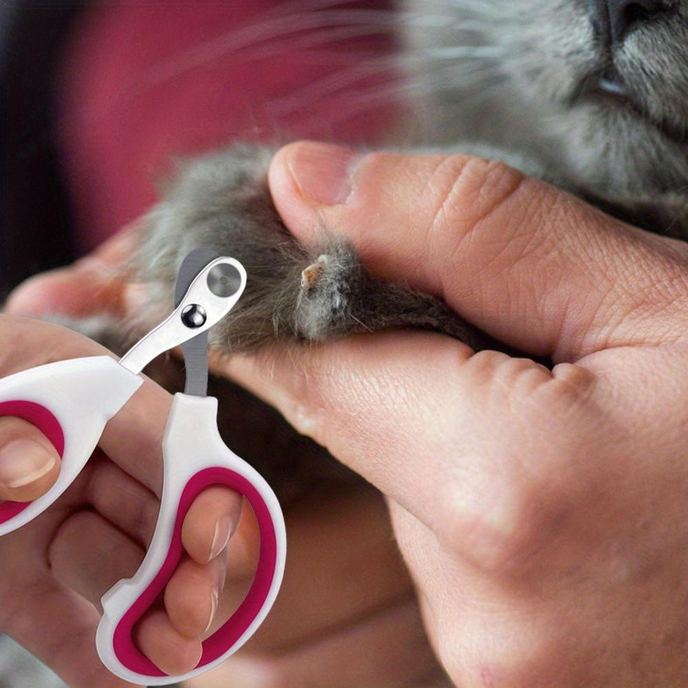 Cortauñas Profesional de Acero Inoxidable para Gatos y Perros Pequeños 🐾✨